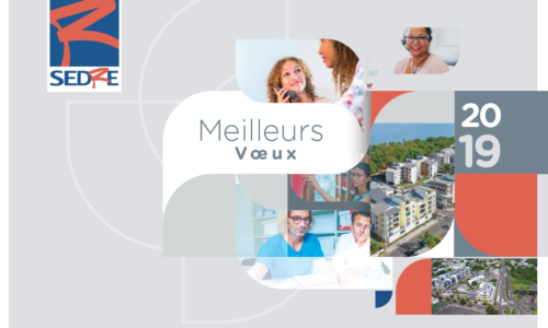 voeux2019